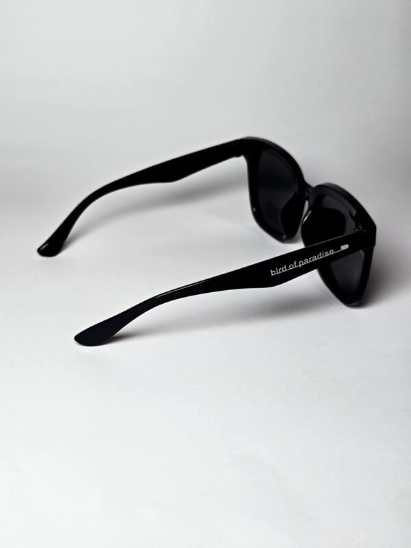 Sunglasses - Image 2